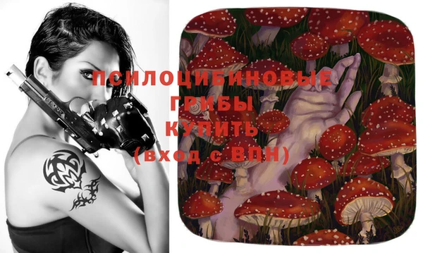экстази Алексеевка