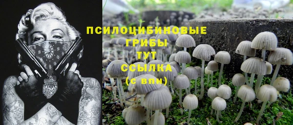 2c-b Алексин