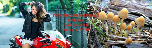 наркотики Алзамай