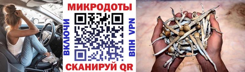 магазин  наркотиков  Кувшиново  Галлюциногенные грибы Cubensis 